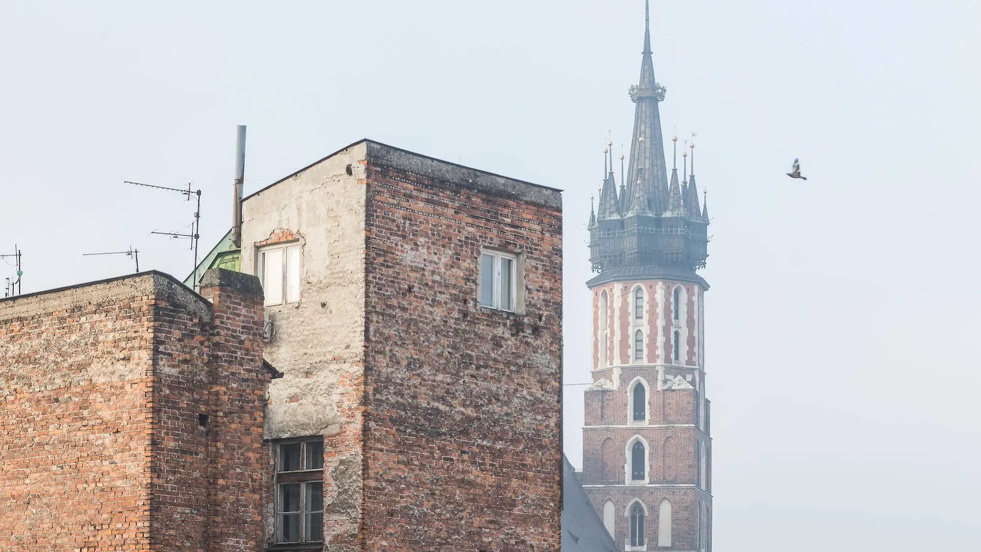 Apartament NOVUMHOUSE - Tomasza Kraków